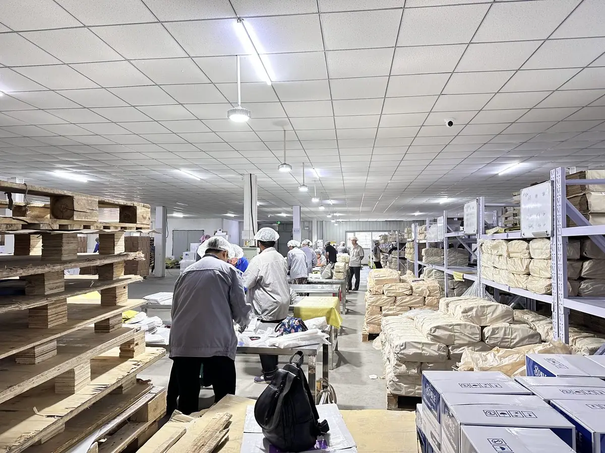 EASTGLOVES glove packaging workshop in Ningbo